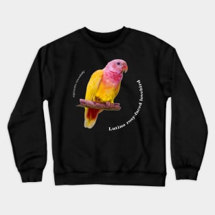 Lutino rosy-faced lovebird pin white text Crewneck Sweatshirt